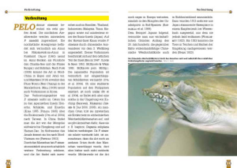 Preview: Die Chinesische Weichschildkröte